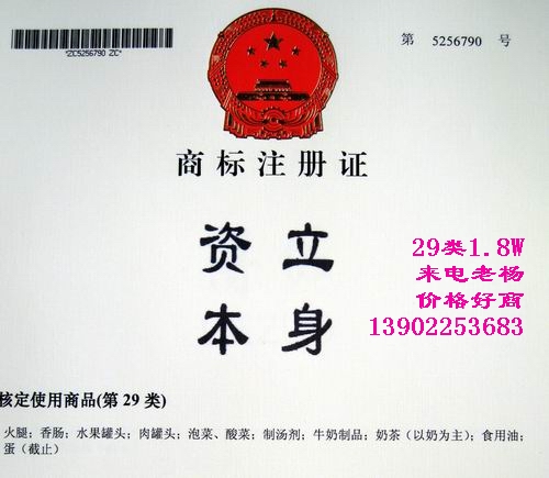 麦知网-立身资本