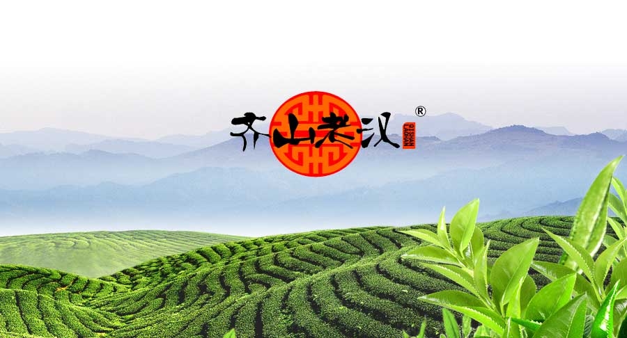 麦知网-齐山老汉