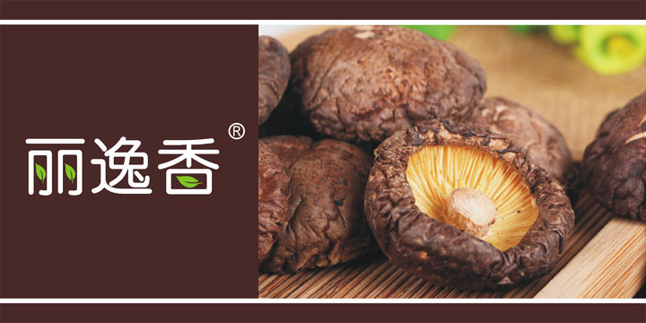 麦知网-丽逸香