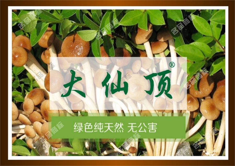 麦知网-大仙顶
