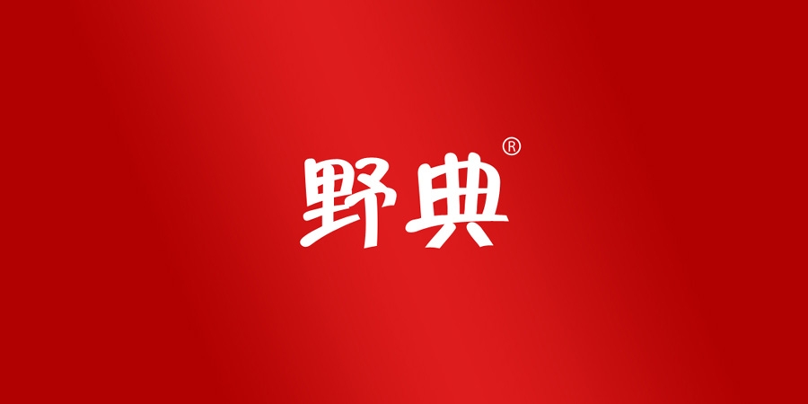麦知网-野典