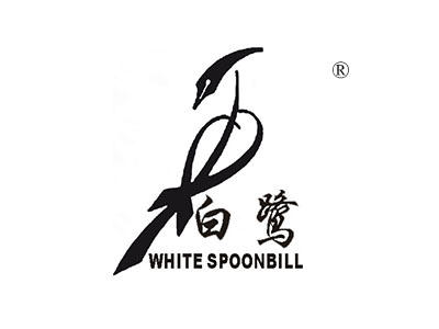 白鹭;WHITE SPOONBILL
