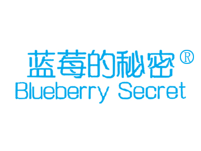 蓝莓的秘密 BLUEBERRY SECRET