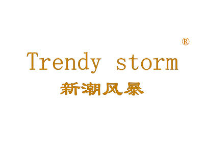 新潮风暴 TRENDY STORM