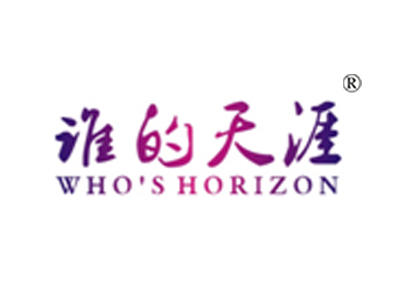 谁的天涯 WHO'S HORIZON
