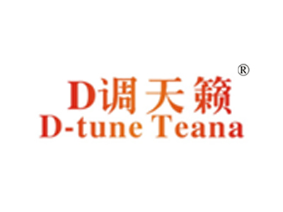 调天籁 D D-TUNE TEANA